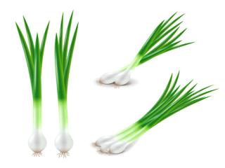 CEBOLLITA DE VERDEO 100G