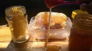 MIEL EL PANAL 250G