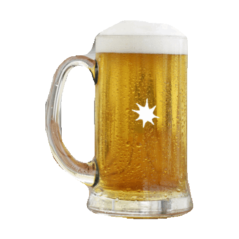CERVEZA 361 DE LITRO DESCARTABLE