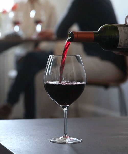 VINO ESTANCIA DE MENDOZA TINTO 3/4